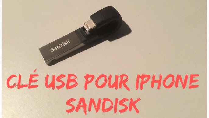 Clé USB Sandisk 128 Go iXpand Flash Drive Flip avec Port Apple Lightning et  Port USB