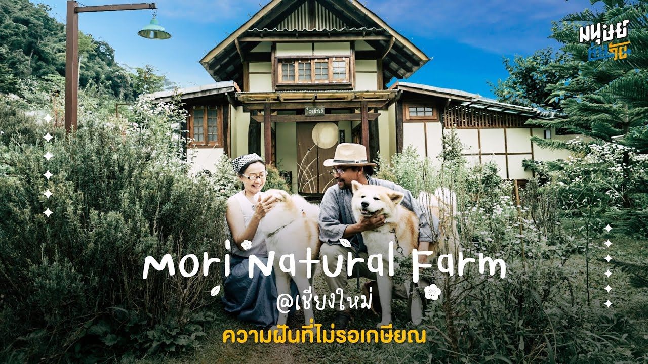 บ้านต้นไม้ริมน้ำ จ.อยุธยา บนแพลตฟอร์ม Airbnb  ของอดีตสถาปนิกผู้ตัดสินใจกลับบ้านมาวางแผนชีวิตบั้นปลาย - YouTube