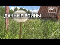 ДАЧНЫЕ ВОЙНЫ