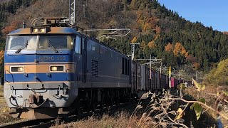 JR貨物EF510形503号機+コキ20B貨物列車4094レ　撮影日:2022/11/12