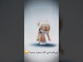 شيء كنت بموت بسببه
