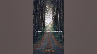 STORY WA || 'Hingga Akhir Waktu'Nineball -Cover AnggiDpns