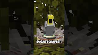 2 Coole Bauhacks In Minecraft