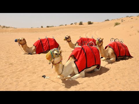 4x4-dubai-safari