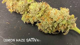 420 Focused: 1st Look @ Everythings Ok Farms