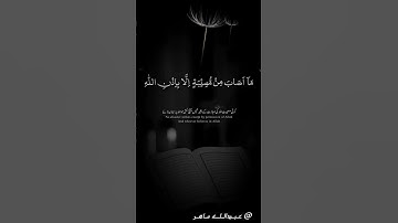 #قران_كريم #اكسبلور #المصحف #قرآن #لايك #سورة #ياسر_الدوسري #ماهر_المعيقلي
