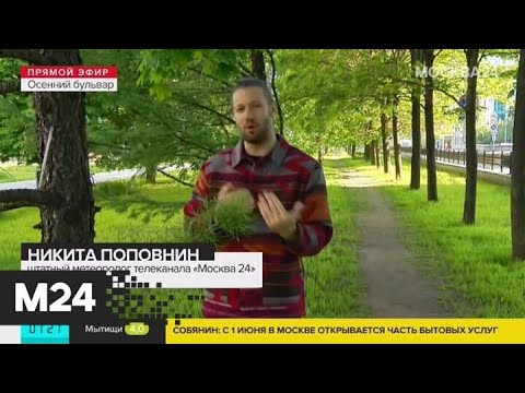 "Утро": переменная облачность ожидается в столичном регионе 28 мая - Москва 24