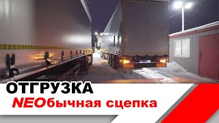 КАМАЗ | ОТГРУЗКА | NEOбычная сцепка Kögel cargo с кониками и Российские Камазы