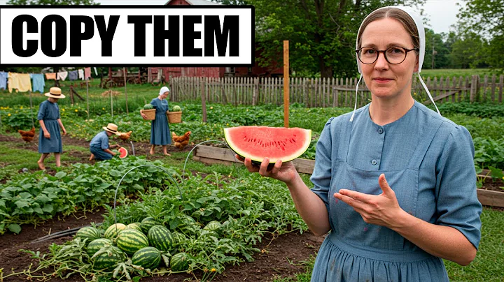 25 Amish Watermelon Growing Secrets to Maximize Your Harvest