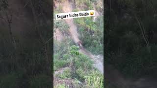 Ai tem pressão! Net Worth