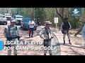 Video de Salinas