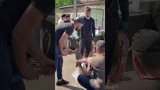 📹🐑 Курбан-байрам: БФ «Закят» раздаёт мясо 500 нуждающимся семьям