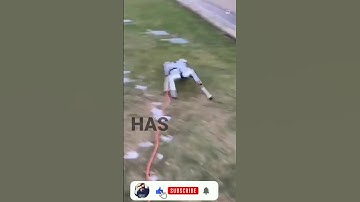 MIT Mini Cheetah #shorts