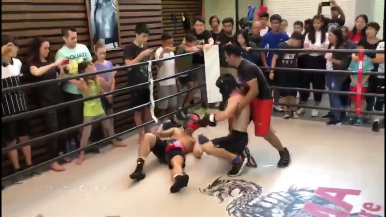 MANNY PACQUIAO’S SON IN ALL OUT, NO RULES BOXING EXHIBITION; PACQUIAO JR SHOWS HEART IN HEATED BRAWL boxwood wreath