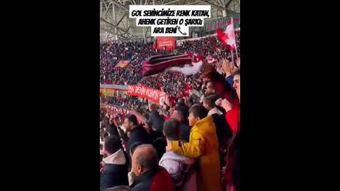 ARA BENİ ÖPTÜM SENİ SENİ #Samsunspor 2-2 #fenerbahçe (2024-2025)