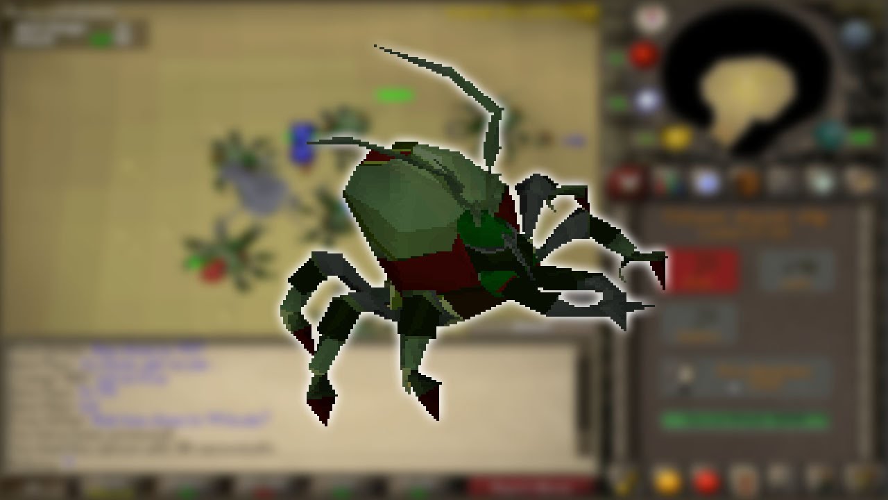 kalphites