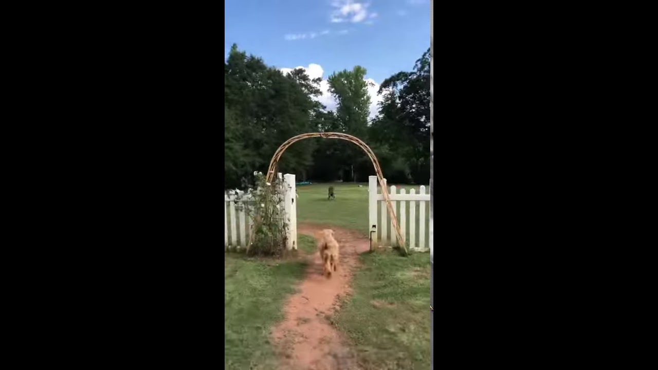 youtube-video-thumbnail