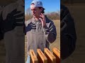 Can Wood Stop a Bullet?🔫#BallisticsTest #BulletTest #GunExperiment #PhysicsInAction #Shooting#Outdoo