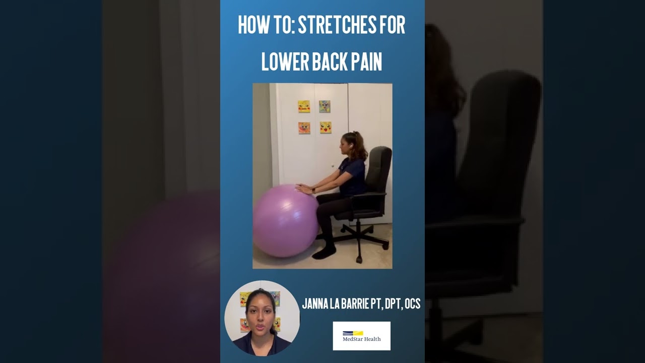 Gaming Exercises - Back Stretches