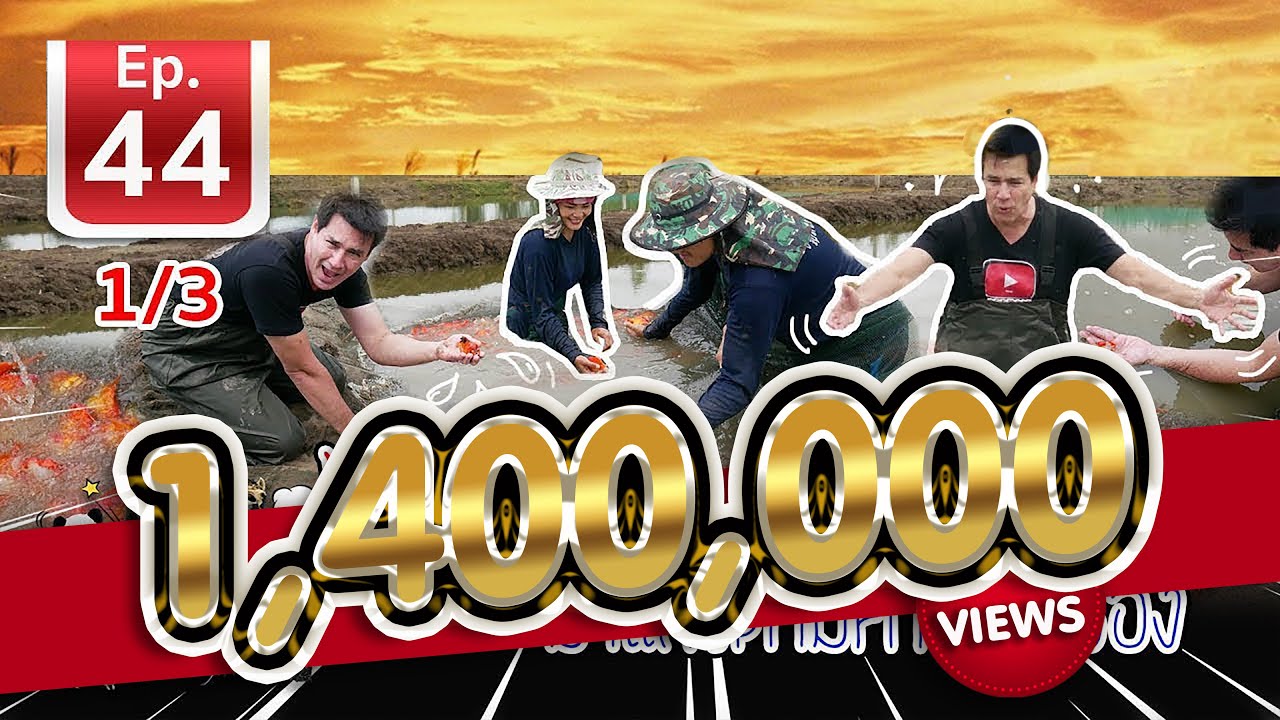 goldfish farm ตีอวนปลาทอง กับฟาร์มชั้นนำระดับประเทศ - เพื่อนรักสัตว์เอ้ย EP44 1/3