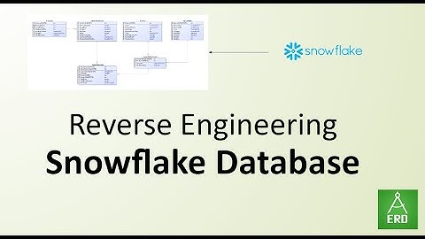 Reverse Engineering snowflake database