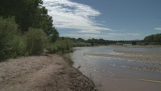 ABQ Bosque set to reopen
