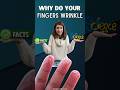 Why Do Your Fingers Wrinkle🤔😱 #hand #shorts