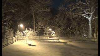 Blizzard 2/2026 | Full Storm 30-Hour Time Lapse