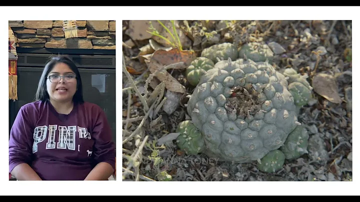 Indigenous Peyote Conservation Initiative - short