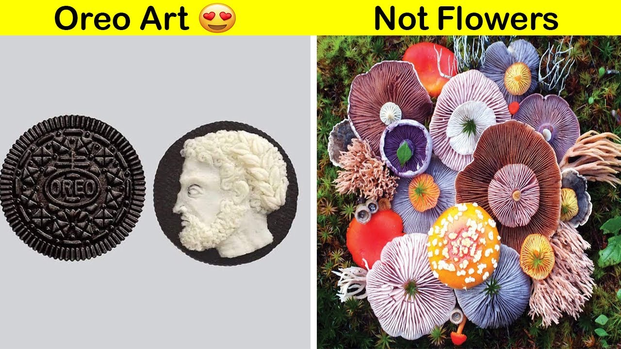 Oddly satisfying perfect photos - YouTube