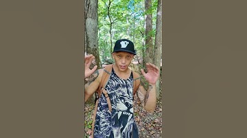Climb Tree