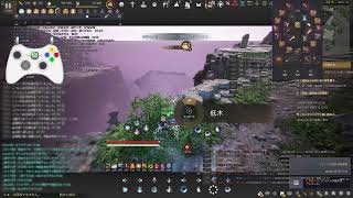 Blackdesert 黒い砂漠 A385/D446 伝承ノヴァ bdo nova succession pve テネブラウム城