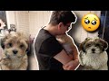 GIVING AWAY THE PUPPIES! *Emotional*