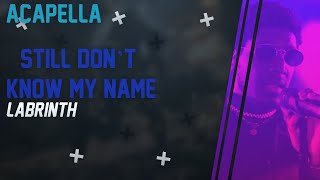(Acapella)Labrinth - Still Don’t Know My Name