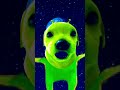 plzzz like and subscribe #funny #trending #viral