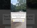 Teen Tourist Killed After NYC Central Park Carriage Horse Runs Loose