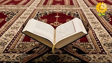 سورة النحل القارئ نبيل الرفاعي | Surah An-Nahl