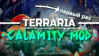 #6 Terraria Calamity - Первое выживание