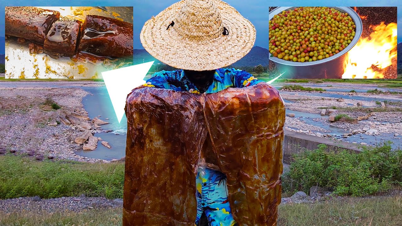 Super natural Plum Fruit Leather & paste recipe I made them at the