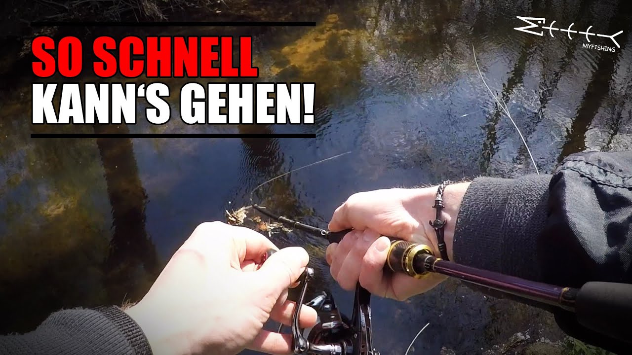 In KÜRZESTER Zeit zum Erfolg! Angeln auf BACHFORELLEN im Frühling YouTube