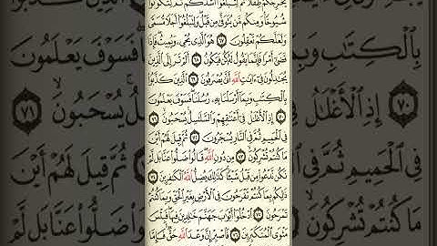 @آيات مباركة من سورة( غافر) اخي الفاضل تفكر بها من الآية الكريمة (٦٦-٧٧)