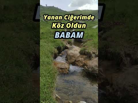 Bir çınar gibiydin BABAM - Adem Bacel