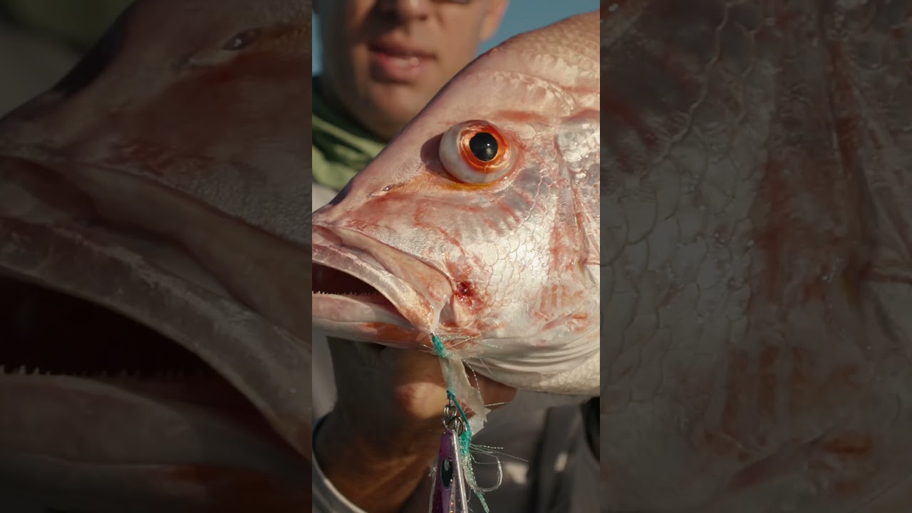 New Halco Karcass Slow Pitch Jigs