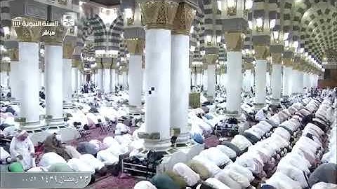 التسليمة الاولى من تهجد ليلة 23 رمضان 1439 للشيخ محمود القارئ   YouTube