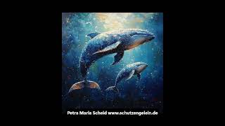 Wal in Ostsee, Hat Timmy eine Überlebenschance, Ist der Mensch schuld an Timmy s Leiden