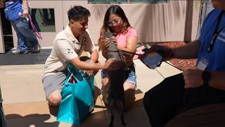 Hundreds of pets adopted on San Diego Humane Society's Clear the Shelters event