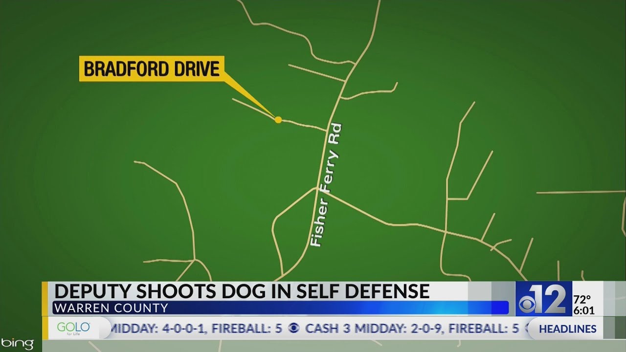 Warren County deputy shoots dog after being attacked while serving ...