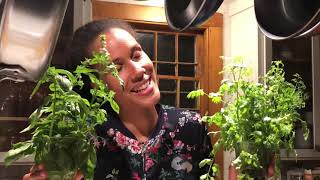 Video thumbnail of "Green Hill Kitchen Song (Sophia Bastian)"