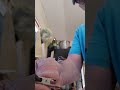 Alligator clip how to easy get the rubber cover back on after repair