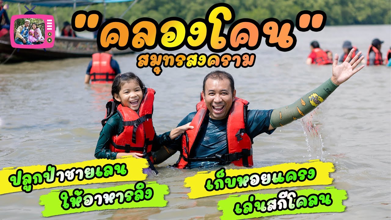 ปลูกป่าชายเลน คลองโคน จ.สมุทรสงคราม ให้อาหารลิง สนุกกับการเก็บหอย เล่นสกีโคลนสุดมันส์